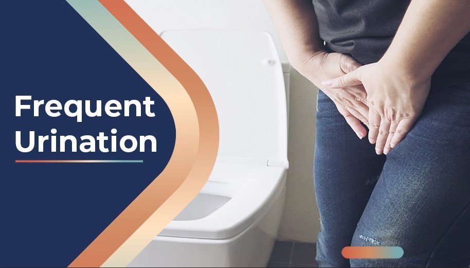 Frequent Urination | USA-Medicine.com